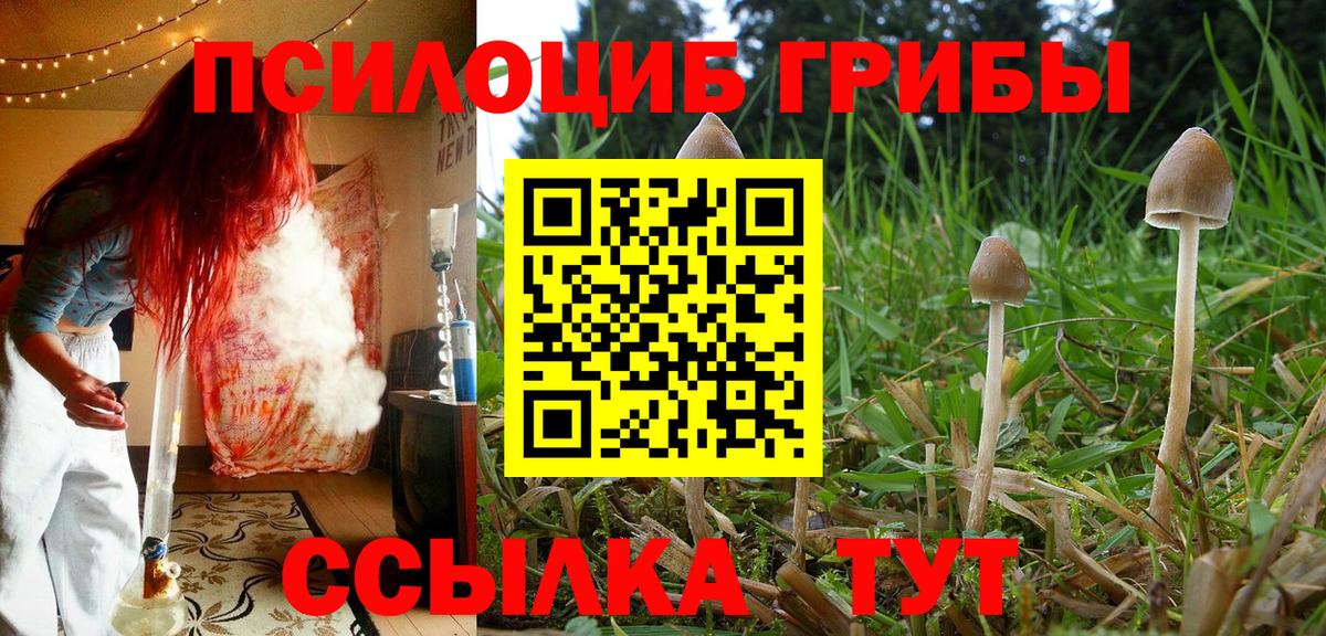 Галлюциногенные грибы прущие грибы Гатчина