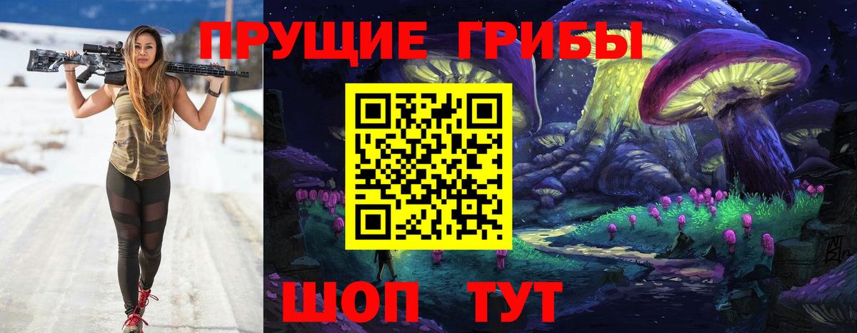 Гатчина  Псилоцибиновые грибы Magic Shrooms  Вход с VPN 